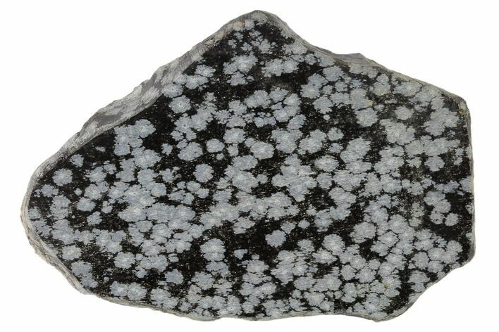 Polished Snowflake Obsidian Section - Utah #117787